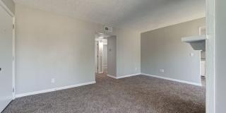 1 Bed 1 Bath Apartment Gallery 5