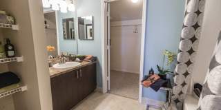 The Palms of Doral Gallery 39