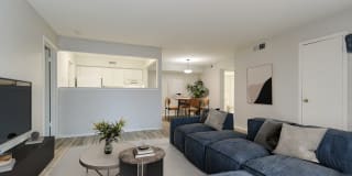 Dylan Apartments Gallery 35