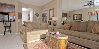 28984 Desert Princess Drive Gallery 5
