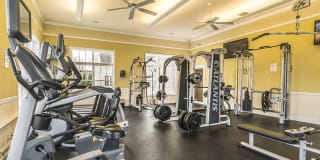 Evergreen at Timber Glen Gallery 5