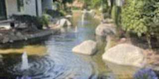 382 Orange Blossom Gallery 6