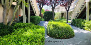 55 and over Diamond Head Community ~ 720 Petaluma Boulevard South #10 Gallery 1