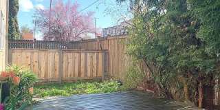 Renovated Apartments at Cedar Lane | Updated Kitchens & LVP Flooring | 1 Month Free! Gallery 4
