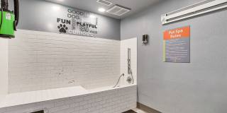 Western Hills Gallery 8