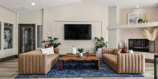 Canyon Vista Gallery 4