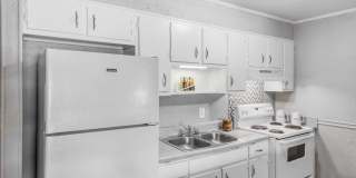 University Oaks Gallery 1