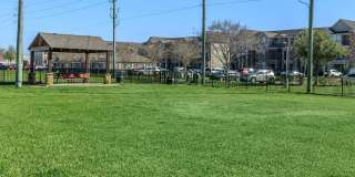 Mason Park Gallery 9