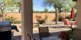 6566 W MOCKINGBIRD Court Gallery 15