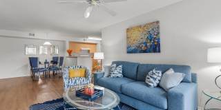 Bella Vista Apartments Gallery 18