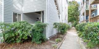 2316 Starfish Road Gallery 1