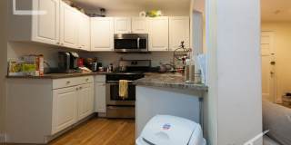 Bright Brookline 4-bed 2-bath with Heat/Hot Water Included! Gallery 3