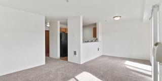 River View Collection Gallery 29