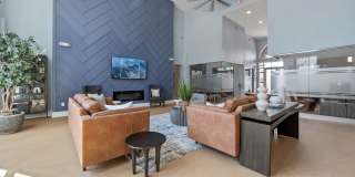 Kings Cove Gallery 24