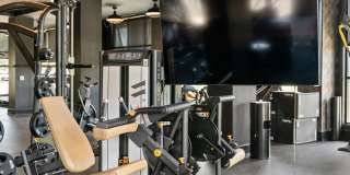 Madison West Elm Gallery 59