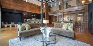 Sola Galleria Gallery 15