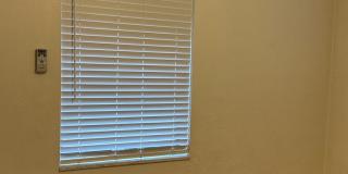 Cute 2 Bedroom 1 Bath with huge Screen Porch Gallery 26