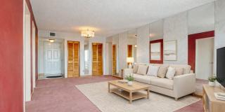 100 Silver Beach Avenue 816, Daytona Beach, FL 32118 Gallery 9