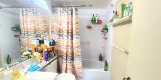 310 Knotty Pine Circle Gallery 8