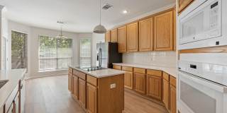 11505 Leon Grande Cove Gallery 12