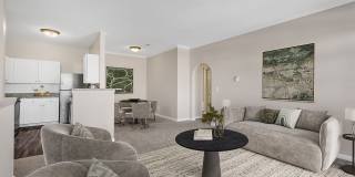 The Chapman Gallery 4