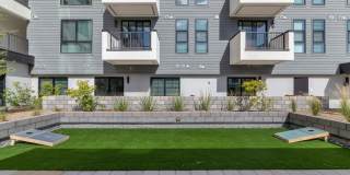 The Common Gallery 49