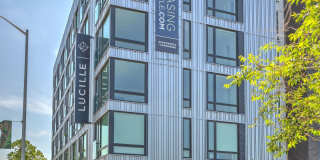 LUCILLE ON ROOSEVELT Gallery 1