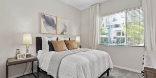 Axis Camelback Gallery 11