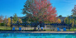 Conifer Place Apartments Gallery 5