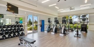 Springs at Cape Coral Gallery 16