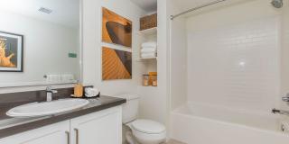 Vineyards Gallery 135