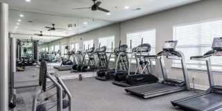 Oasis at Montclair Gallery 49