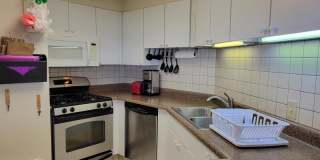 2405 Kalanianaole Street - 1 Gallery 6