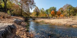 The Grove Gallery 101