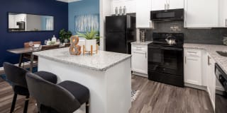 Cavalier @ 100 Gallery 5