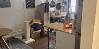 5000 North Kenmore Avenue Unit 310 Gallery 1