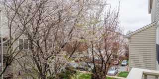 7046 FALLS REACH Drive Gallery 15