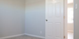 Redwoods Gallery 12