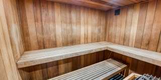 Juniper Springs Gallery 29