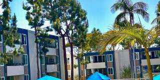 Los Arboles Apartments Gallery 15