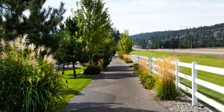 Pine Valley Ranch Gallery 23
