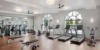 The Apartment Collection at Bay Meadows Gallery 30