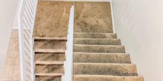 1913 N Congress Avenue Gallery 13