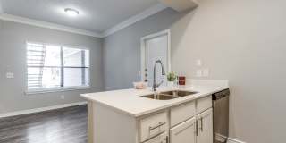 San Montego Gallery 12