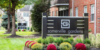 Somerville Gardens Gallery 1
