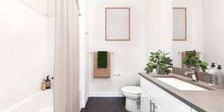 Sundodger Gallery 8