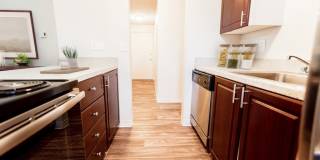 Bellamy Park Gallery 4