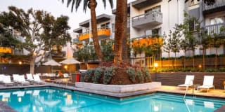 Violet on Virgil Violet on Virgil Gallery 17