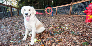 Lakemont Orchard Gallery 23