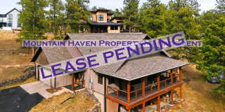 27660 Pine Drive Gallery 1